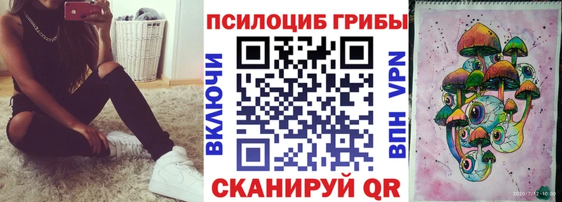 кракен вход  магазин продажи наркотиков  Стерлитамак  маркетплейс формула  Галлюциногенные грибы Psilocybe 